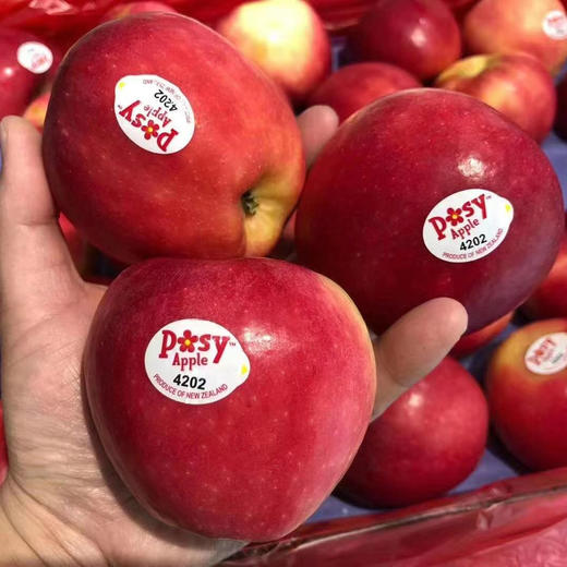 新西兰POSY小花苹果 商品图5