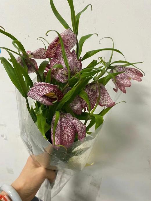 配花-贝母-花边 商品图4