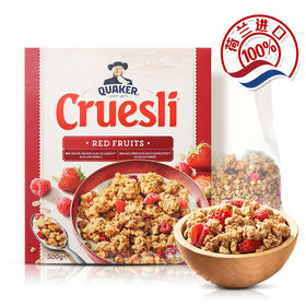 荷兰进口 QUAKER 桂格水果干谷物粒即食燕麦片500g*2盒