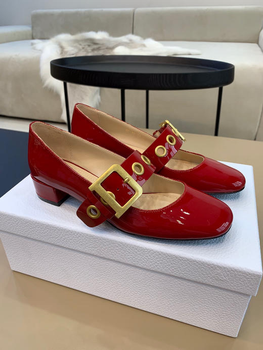 Dior fw20 玛丽珍鞋3色 商品图6