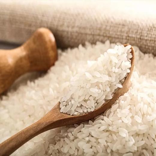 四川仪陇同耕记朱老总老田香米5kg 商品图3