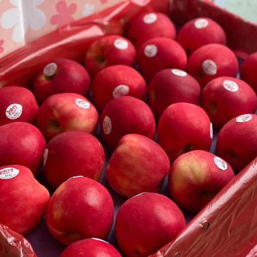 新西兰POSY小花苹果 商品图11