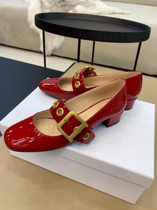 Dior fw20 玛丽珍鞋3色 商品图7