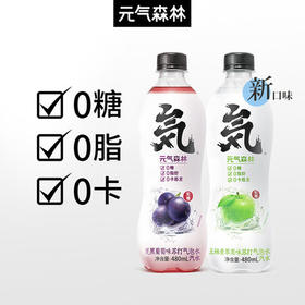 元气森林气泡水480ml（仅供济南市区）