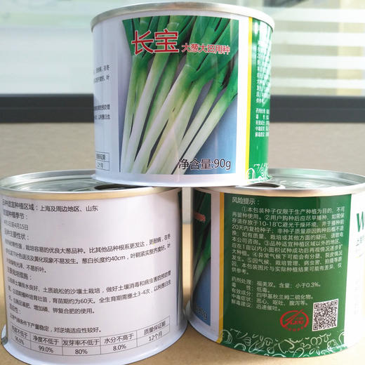 [专业种子] “长宝”大葱种子 商品图1