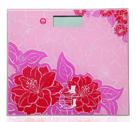 香山牌电子人体秤EB9365（颜色随机）