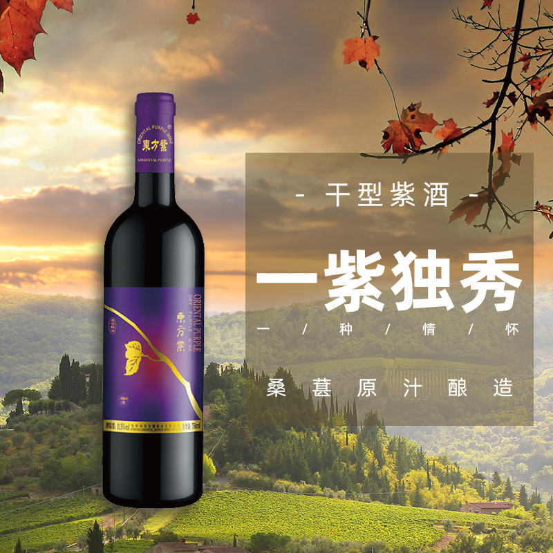 东方紫酒 一紫独秀干型750ml桑葚低度果酒