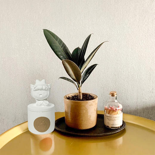 爱神团系列香薰蜡烛 商品图4