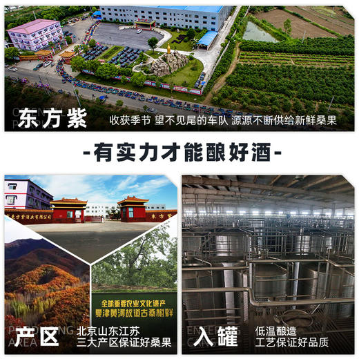 东方紫 仙紫甜型桑葚酒750ml单瓶装 商品图5