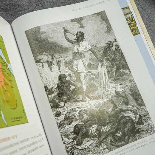 非洲通史（第四版） 从史前时代直到当下时代非洲大陆悠久历史被作者用心凝聚在单卷本中非洲历史书籍 商品图5