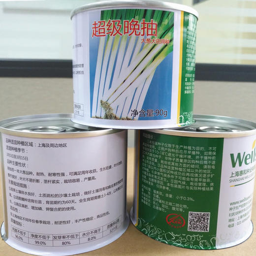 [专业种子] “超级晚抽”大葱种子 商品图1