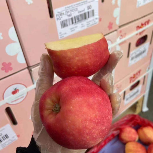 新西兰POSY小花苹果 商品图8