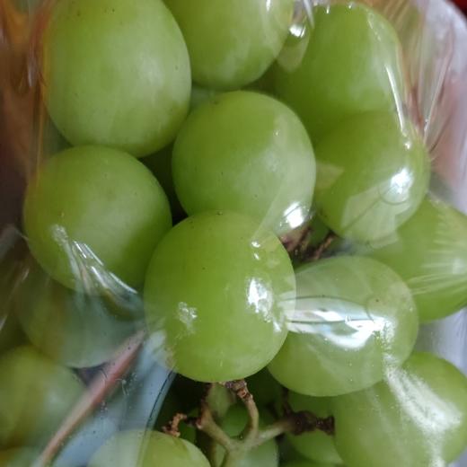 澳洲秋天清脆特级 商品图0