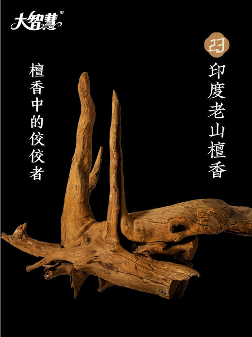 【大智慧】23号印度老檀檀香 九星级 商品图2
