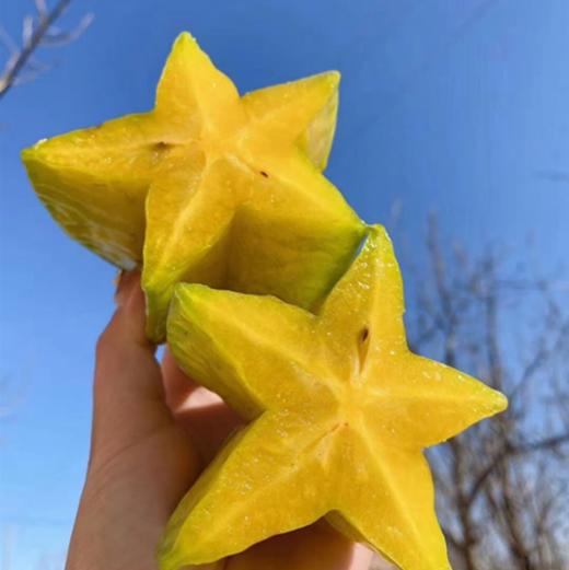 【树上熟下河甜杨桃】 皮薄如膜、纤维少，果脆汁多、甜酸可口、芳香清甜 商品图3