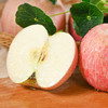 【红富士苹果5斤】| 甜脆多汁，果肉鲜嫩，农家种植，吃的放心 商品缩略图2