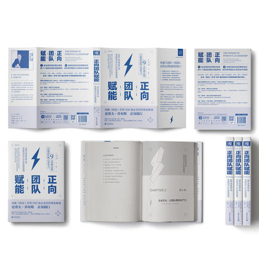 正向团队赋能: 9大管理法则，引爆团队核心竞争力 商品图1