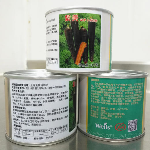 [专业种子] “紫美”胡萝卜种子 商品图1