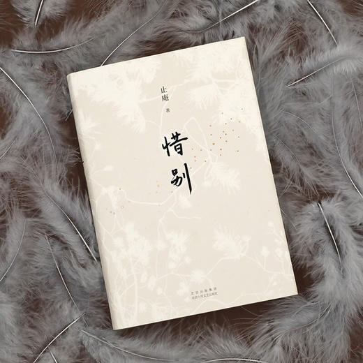 惜别 止庵 著 文学散杂文随笔书籍 止庵代表作，史航、马家辉动情推荐 商品图1