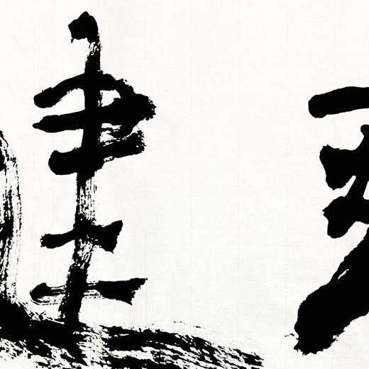 曾翔书法 · 双字小品系列之《爽健》 商品图3