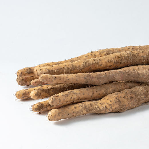 【垆土铁棍山药 5斤】 | 质坚粉足，粘液丰富，久煮不散，粉糯香甜，吃出好脾胃 商品图4