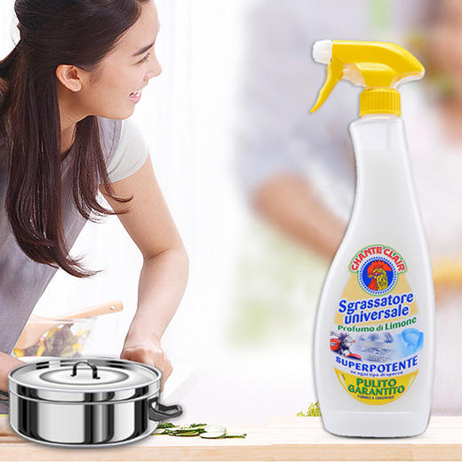 CHANTECLAIR 大公鸡管家 多功能油污净(柠檬香) 厨房清洁去油污剂 (意大利进口) 625ml 商品图2