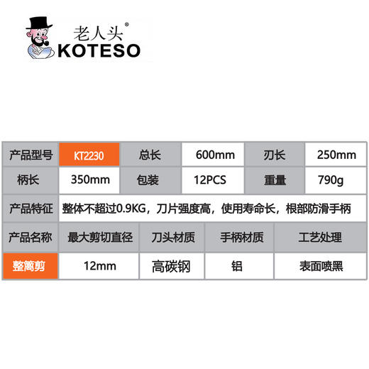 KT2230直刀10“整篱剪 商品图1