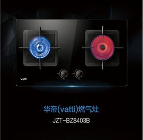 南5 华帝BZ8403B灶具