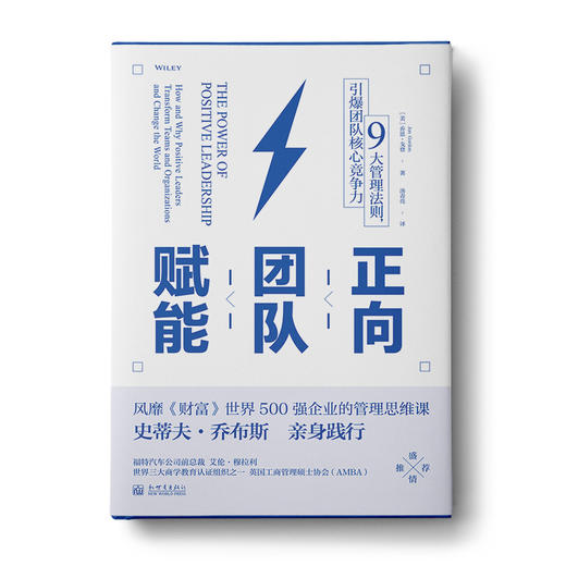 正向团队赋能: 9大管理法则，引爆团队核心竞争力 商品图0
