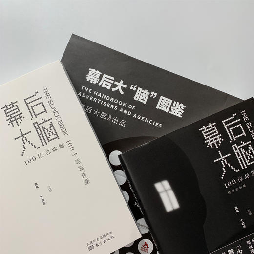 幕后大脑：100位总监解100个营销难题 商品图4