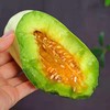 博洋61蜜甜瓜  4.5斤（5-7个） 商品缩略图0