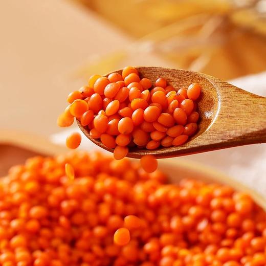 Ientilsi 红小扁豆 土耳其进口小扁豆 800g/袋【京东快递送货上门】 商品图5