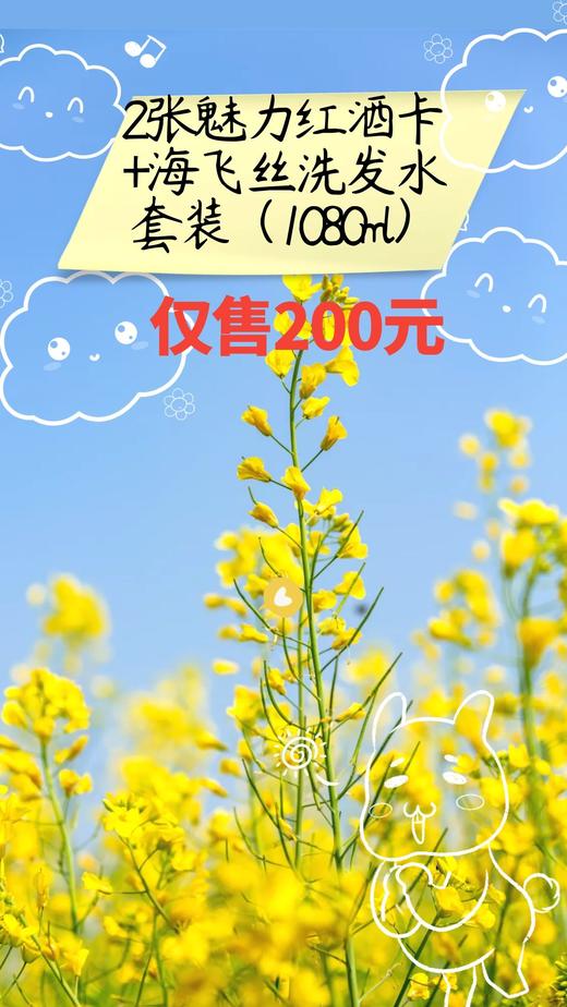 2张魅力红酒卡+海飞丝洗发水套装（冰凉薄荷500ml*2+无硅油80ml）-CG 商品图0