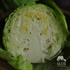 生态包菜 | 绿家自产*ecological cabbage | Self-production 商品缩略图8