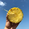 【72小时左右发货】海南自然熟金钻凤梨 4.5-5斤装 商品缩略图7