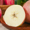 【红富士苹果5斤】| 甜脆多汁，果肉鲜嫩，农家种植，吃的放心 商品缩略图0