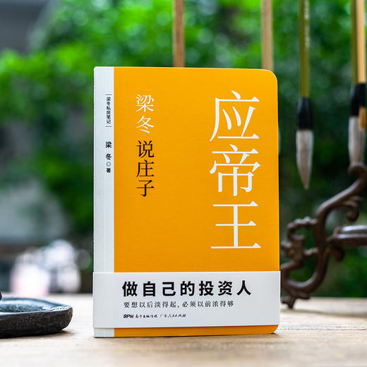 梁冬说庄子.应帝王 商品图0