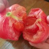 『普罗旺斯西红柿』一款当水果吃的番茄贵族 商品缩略图4