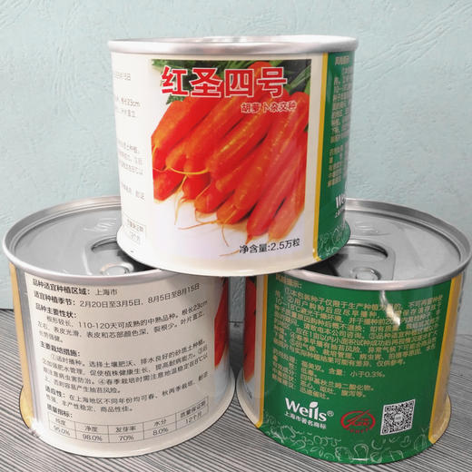 [专业种子] “红圣四号”胡萝卜种子 商品图1