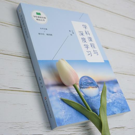 学科课程与深度学习 学校课程发展精品丛书 提升孩子高阶思维能力 适合教师阅读 正版 华东师范大学出版社 商品图2