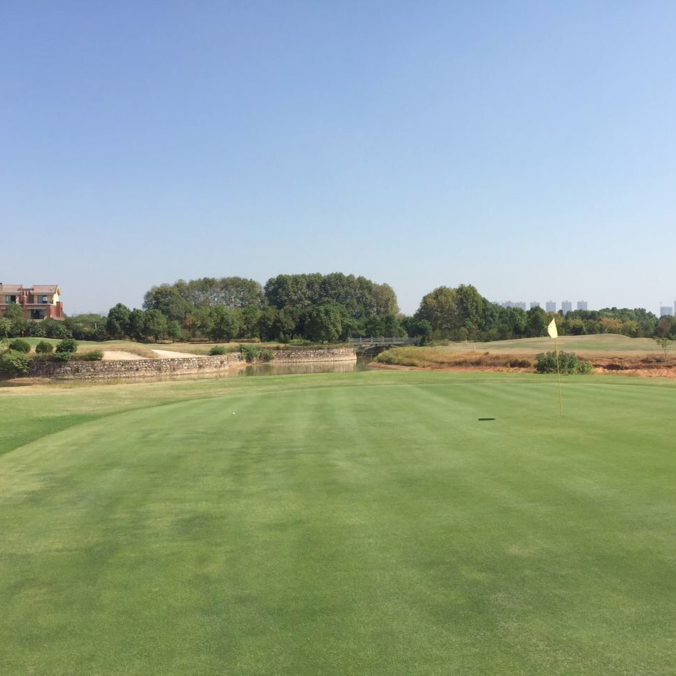 湖北鄂州·红莲湖高尔夫俱乐部  Honglian Lake Golf Club | 鄂州高尔夫球场俱乐部 | 湖北高尔夫球场 | 中国