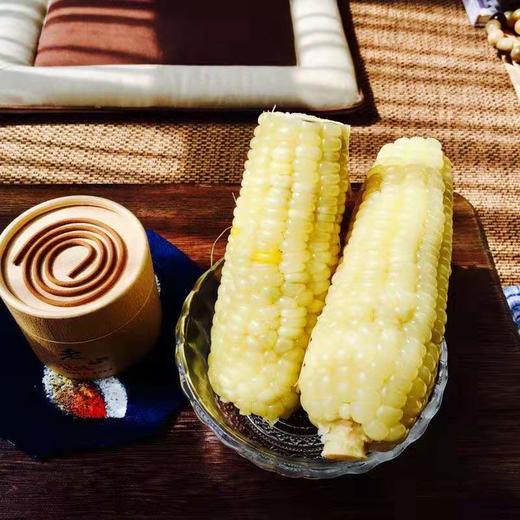 有机甜糯玉米棒10只 宁夏沙漠玉米 带皮蒸食 商品图1
