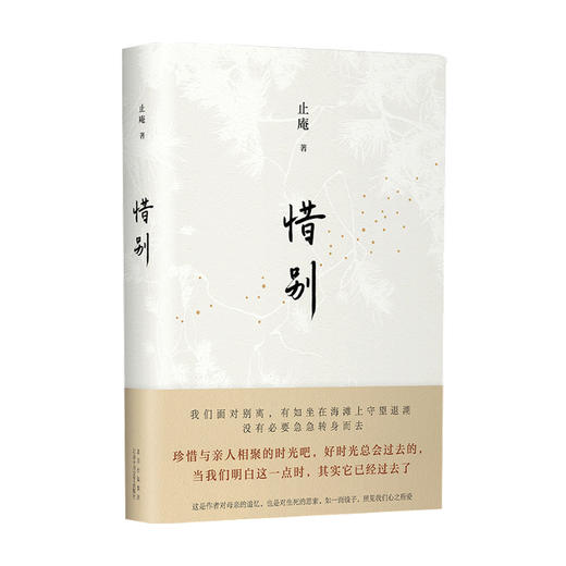 惜别 止庵 著 文学散杂文随笔书籍 止庵代表作，史航、马家辉动情推荐 商品图0