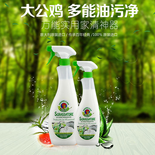 CHANTECLAIR 大公鸡管家 多功能油污净(植物清香) 厨房清洁去油污剂 (意大利进口) 625ml 商品图0