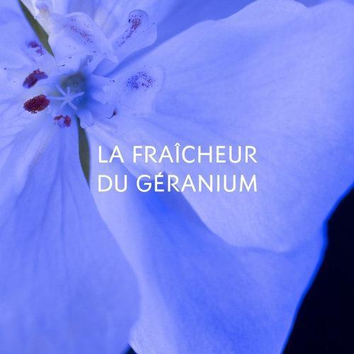 Yves saint Laurent/圣罗兰 先锋Y香水男士香精60-100ml「黑色版」2021新品 商品图4