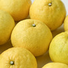 【黄金贡柚  5斤】| 汁水丰厚，纯甜无酸，清新怡人，结合了柠檬的香、柚子的甜，果肉滑嫩 商品缩略图4