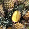 【72小时左右发货】海南自然熟金钻凤梨 4.5-5斤装 商品缩略图13