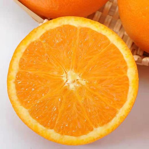 奉节脐橙 （ 5斤/9斤装） 商品图1