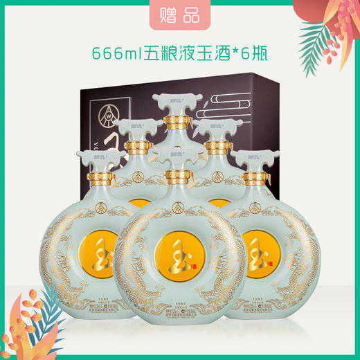 买五粮液1618赠品 | 买一箱赠一箱666ml玉酒（赠品链接，单拍不发货） 商品图0