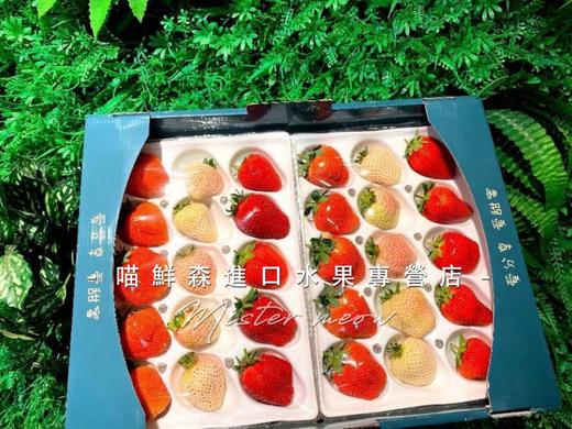 三色草莓🍓礼盒💝（红颜+粉淡雪+白天使）一套2盒（30枚） 商品图9